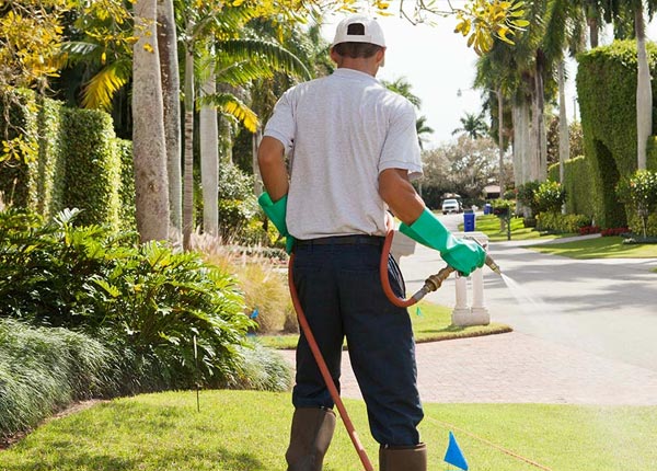 About Athol Springs NY Pest Control Pros